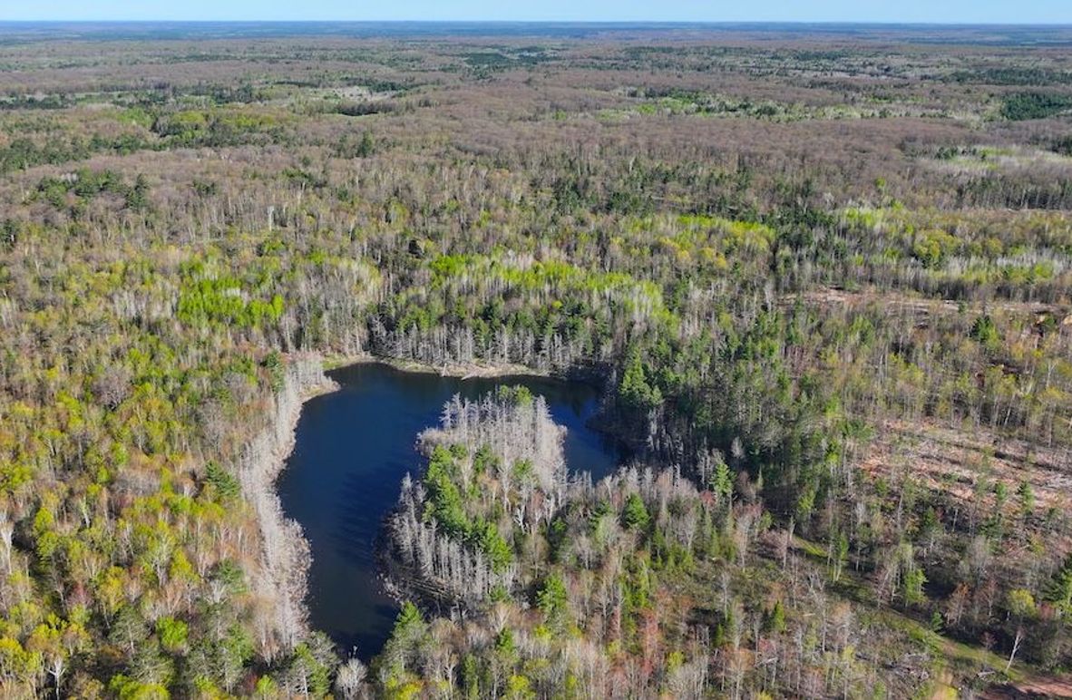 DJI_20260521064939_0017_D