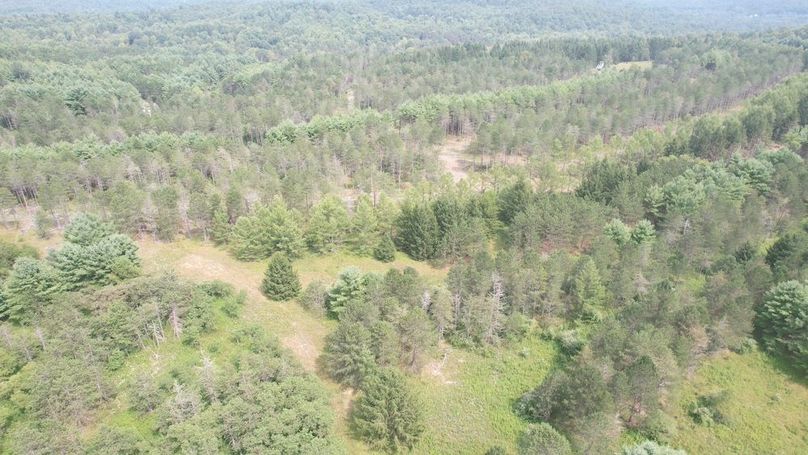 dji_fly_20250804_150546_466_1754355859362_photo