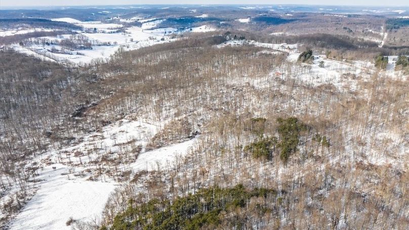 09-z 18408 Brushy005