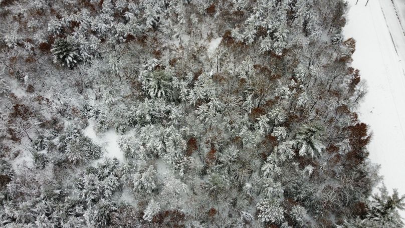 dji_fly_20240111_114136_862_1704995468595_photo_optimized 3