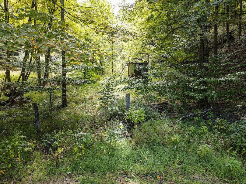 dji_fly_20240913_115854_811_1726243147131_photo