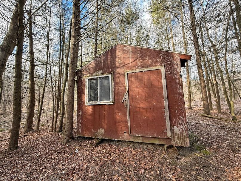 Chemung_59.65_Kocsis_photos_33