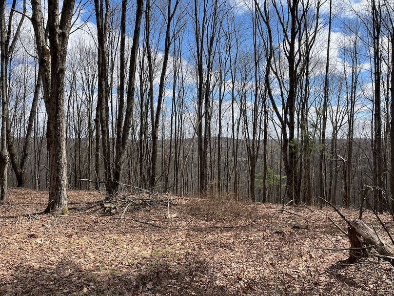 Chemung_116.3_Stamm Photo 15