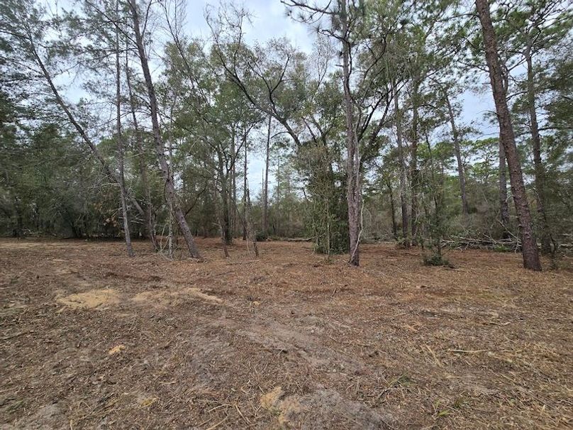 5ac, Marion, Andrew Goering08