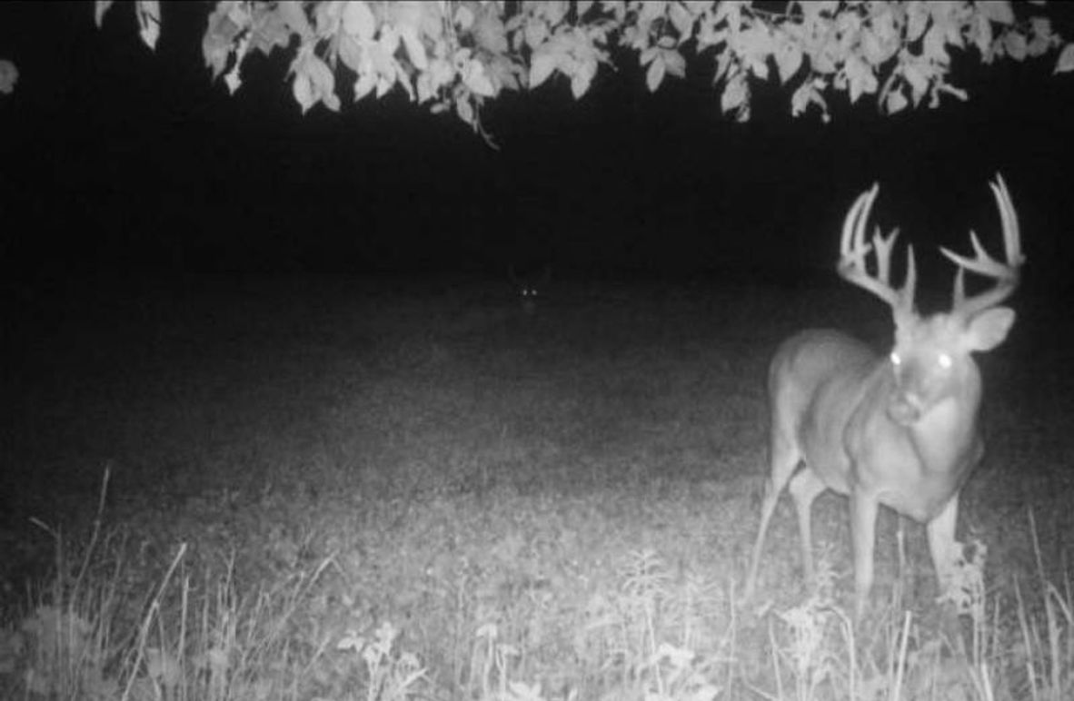 93C7D56C-ADEC-4C86-93F0-78DF6A071C55