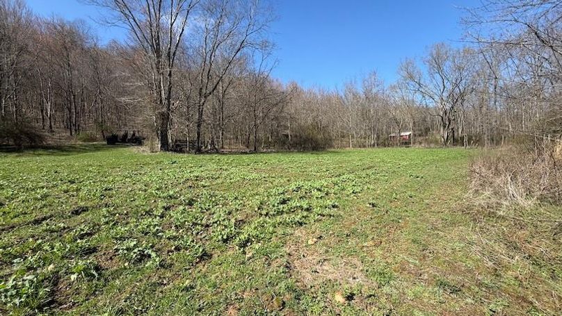 Butler 118 Capella31