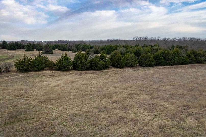 Fannin County- 5.01 acres-12