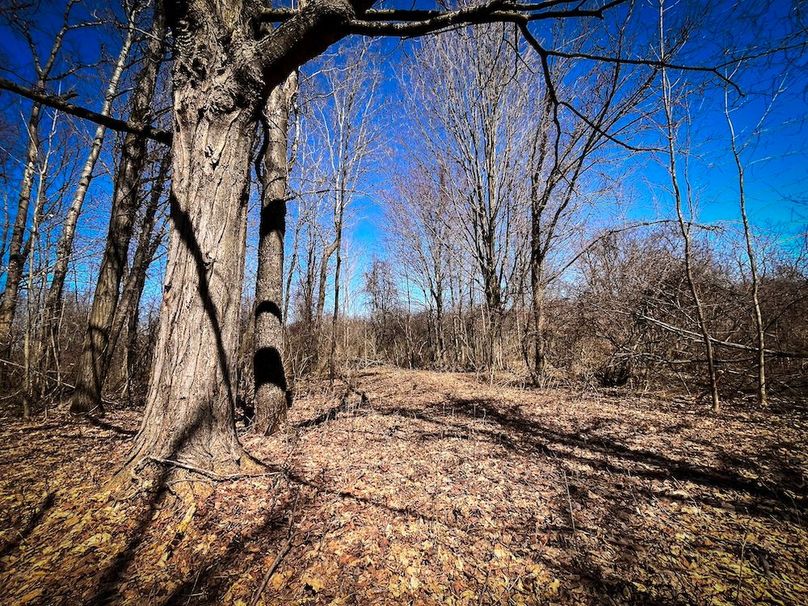 Oswego_13.95_Moore_Bush_Photos_24