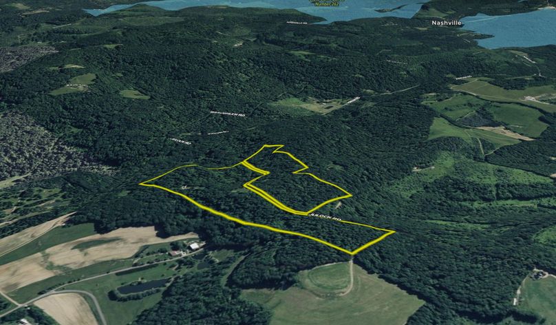 Screenshot 2025-11-24 104524