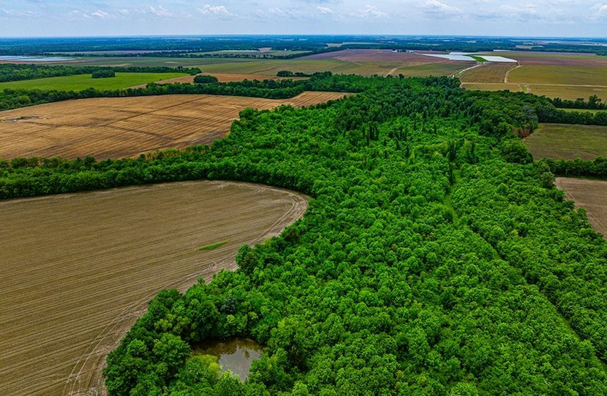 Copy of Noxubee 112.1 +- Tract 1-06