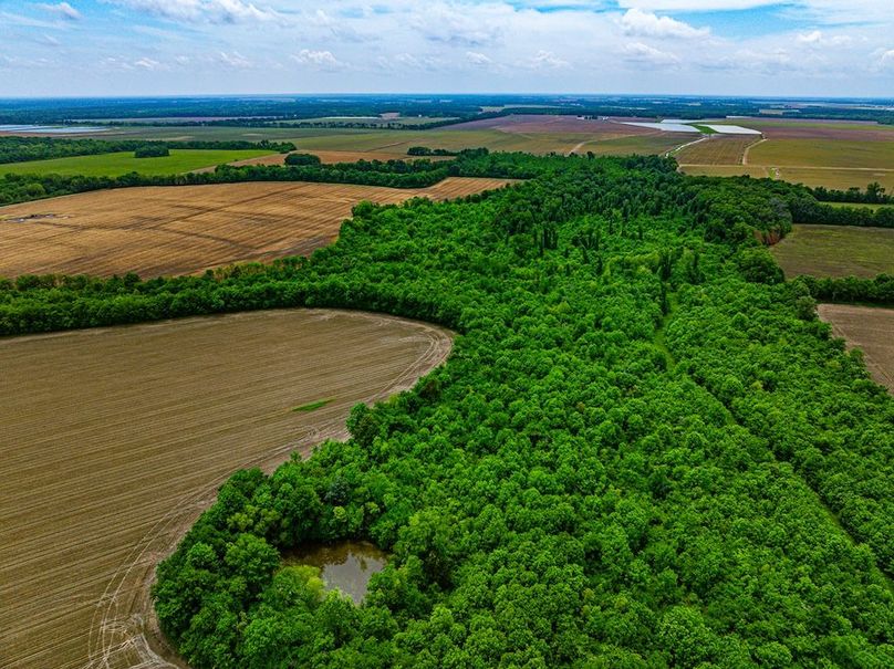 Copy of Noxubee 112.1 +- Tract 1-06