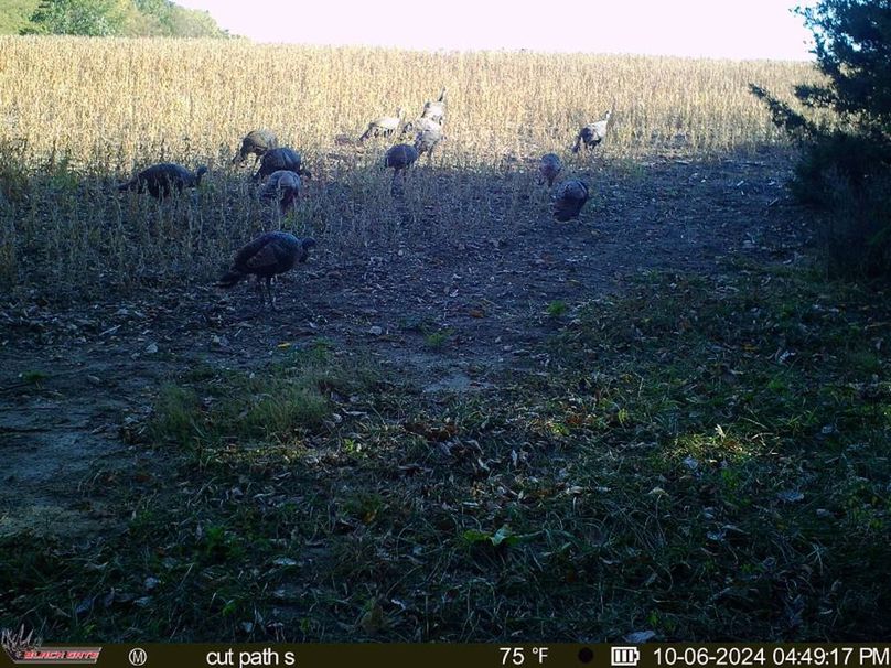 blackgate-media_176775195837877