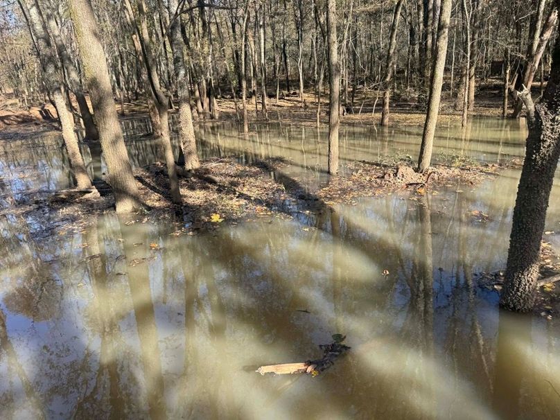 1a1 jeff 8320251111_0275