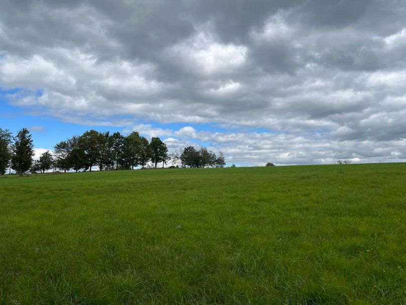 Schuyler_42.08_Austin Photo 7