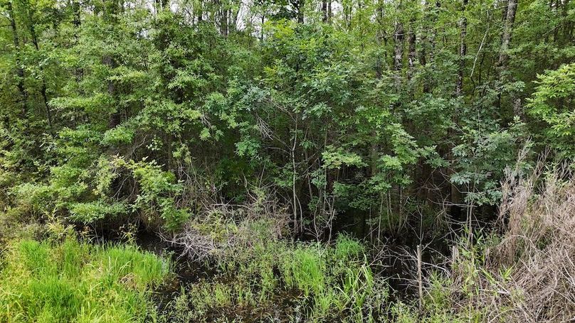 dji_fly_20250715_110028_0580_1752592312415_photo