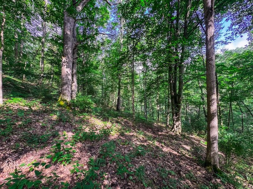 Lewis, WV 105 AC Miller-45