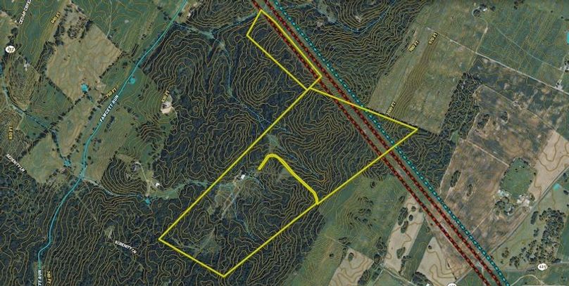 Frederick 188.50 Topo