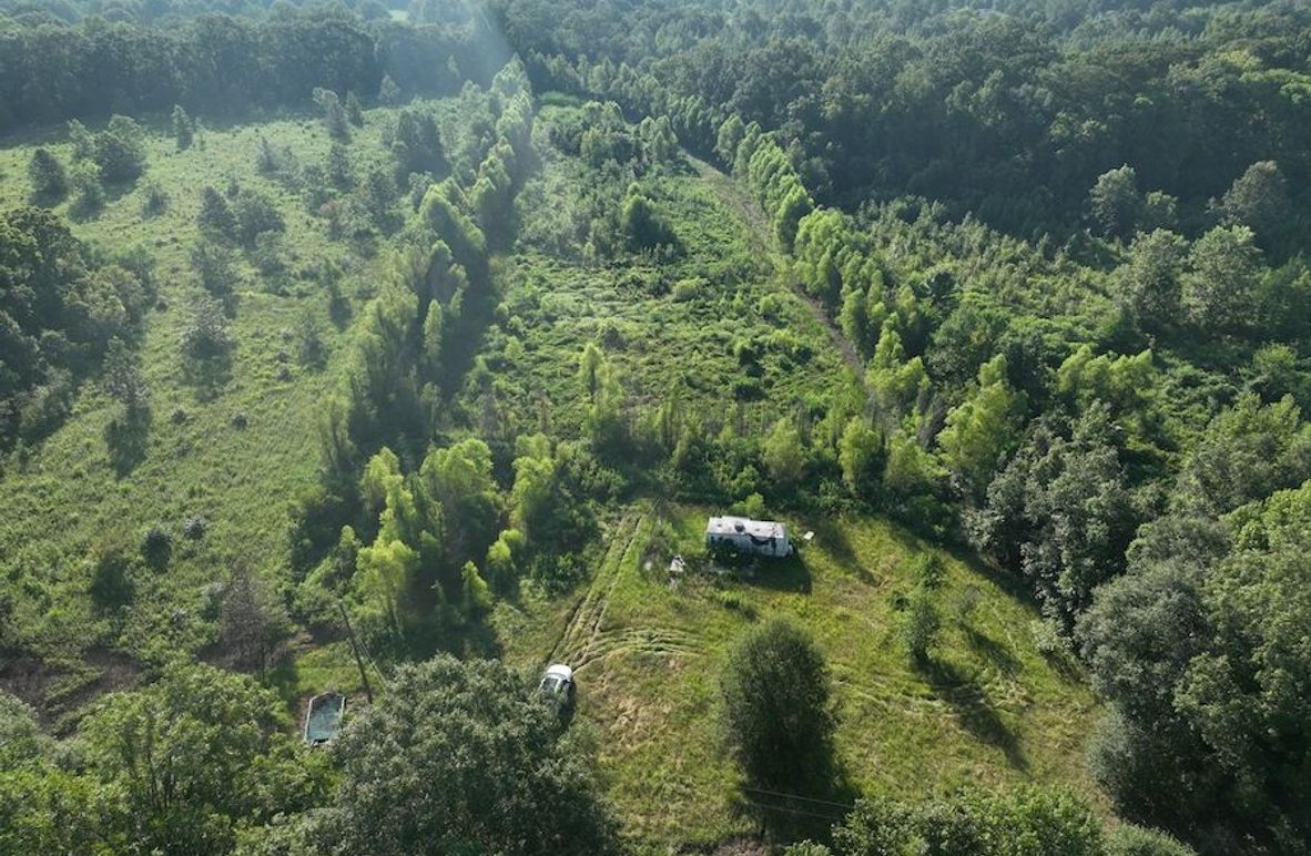 dji_fly_20240822_095304_785_1724354645468_photo