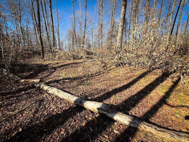 Chemung_31.75_Seymour_South_Photos_19