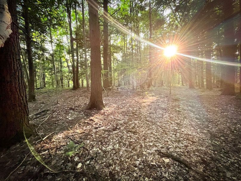 Oswego_25.66_Pettit_Photos_45