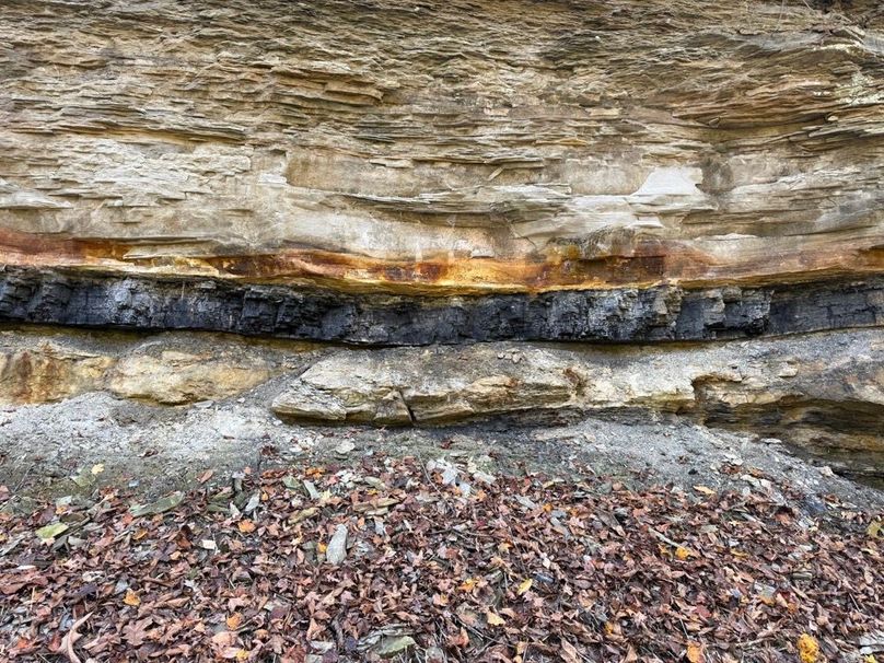 017 black gold peaking through along Hunting Creek Road embankment