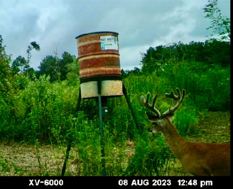 Screenshot_20230808_181647