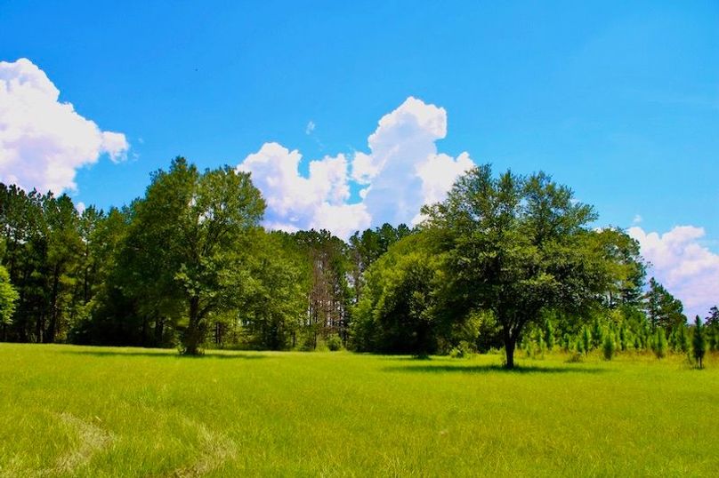 F2C4B00B-68BD-44DE-91D0-75F5D641072B_1_105_c