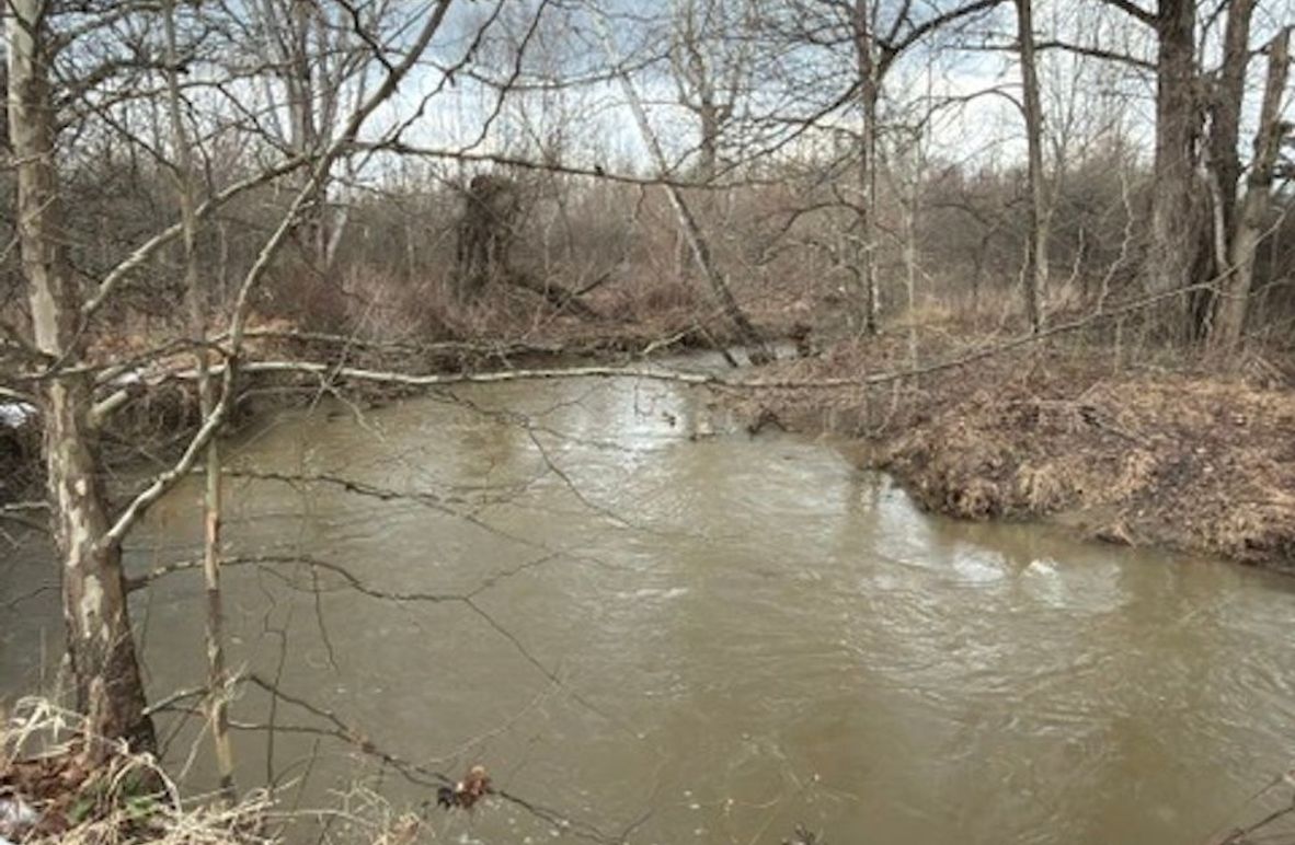 2EBF5478-C9B1-42EB-A49F-13AF4D57A270_4_5005_c