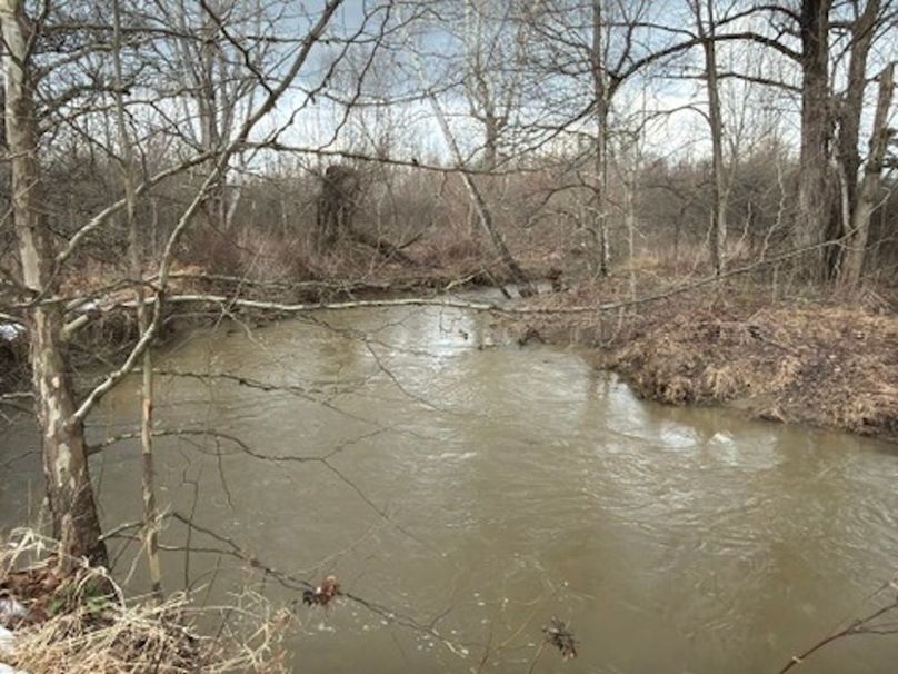 2EBF5478-C9B1-42EB-A49F-13AF4D57A270_4_5005_c