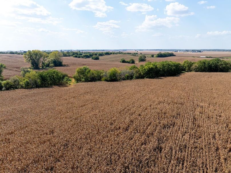 Copy of Whiteside 181_27