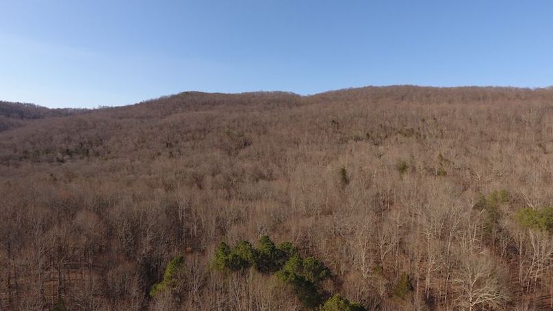 DJI_0510