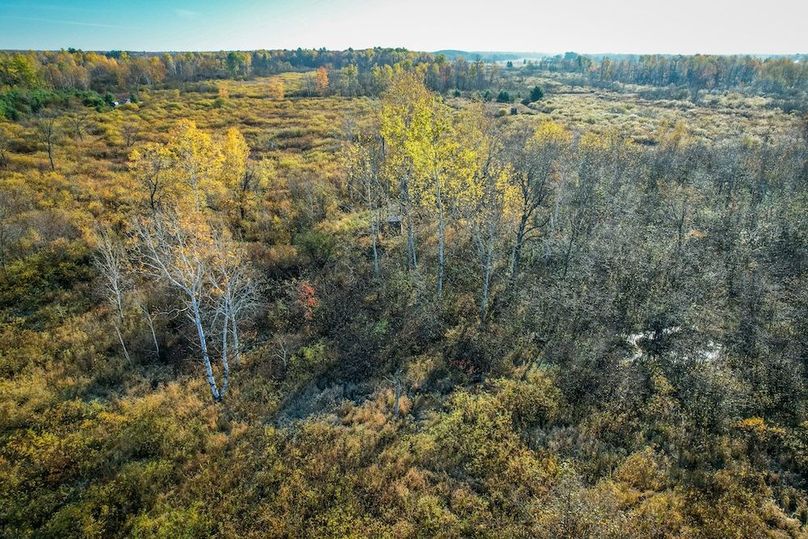 Clark 24.75 Winkel -45