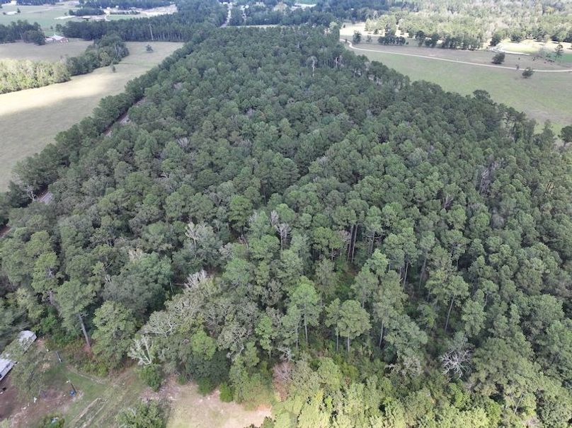 dji_fly_20250929_130618_0568_1759177335127_photo