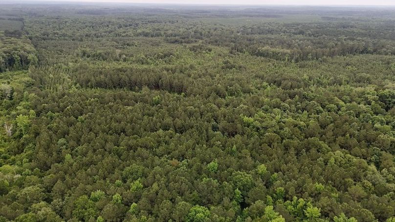 Copy of DJI_20250529223455_0533_D