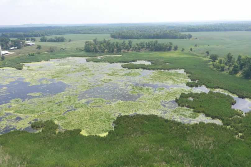 PANO0009 (1)