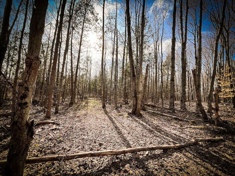 StLawrence_142.7_Bosse_Photos_44