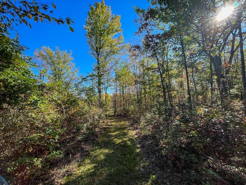 Wood 41.451, Collins -26