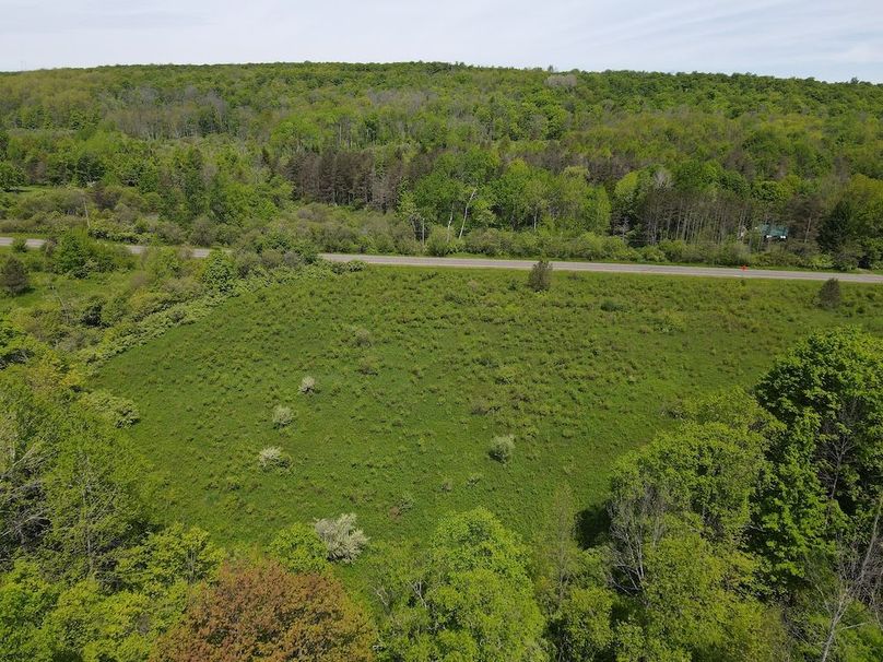 DJI_0438
