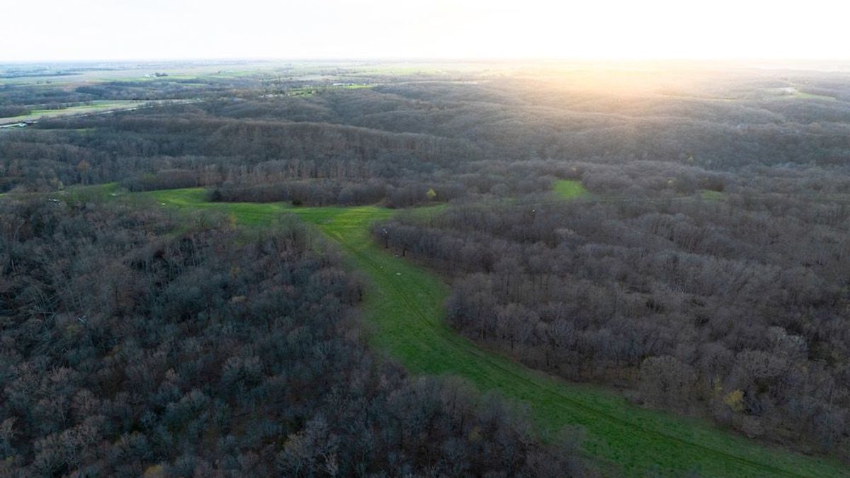 Expansive Timber, Large Open Ridge Tops And Multiple Ponds | Whitetail ...