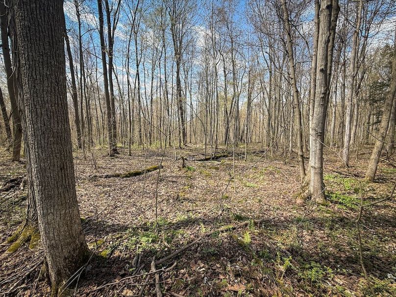 Cayuga_23.5_Demott_photos_27
