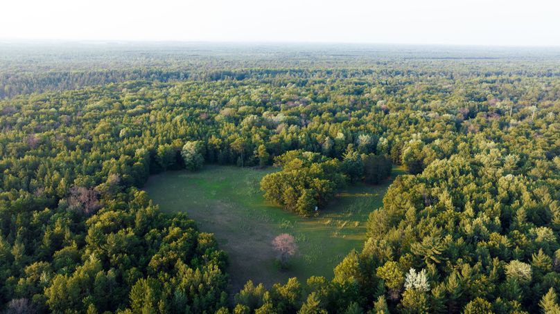 Ogemaw MI 475 Featured Pro Photo-0110