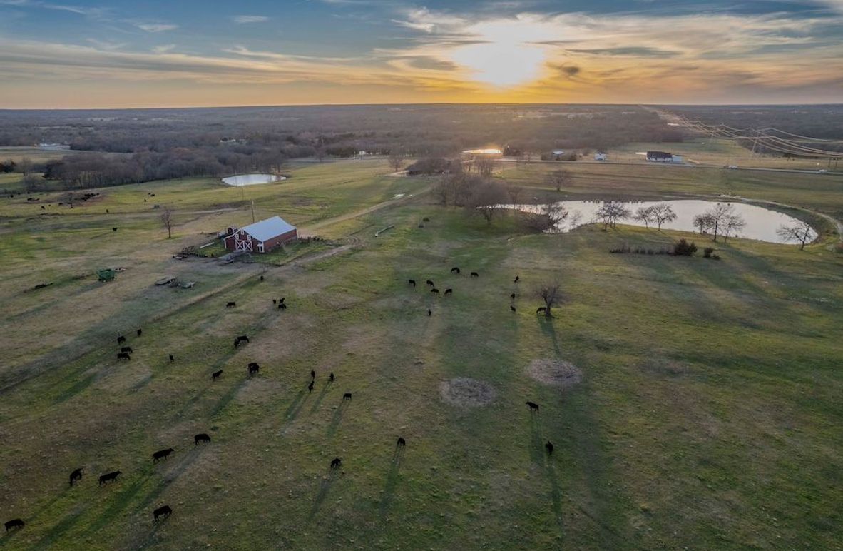 Fannin County- Pecan Ridge (1 of 53)