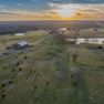 Fannin County- Pecan Ridge (1 of 53)