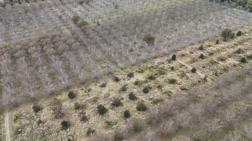 dji_fly_20251107_043032_0029_1762484047693_photo