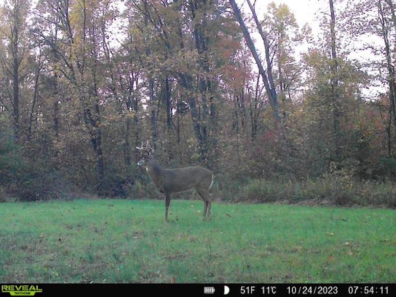 868032065377495-100-3-10242023075412-V-W1004695