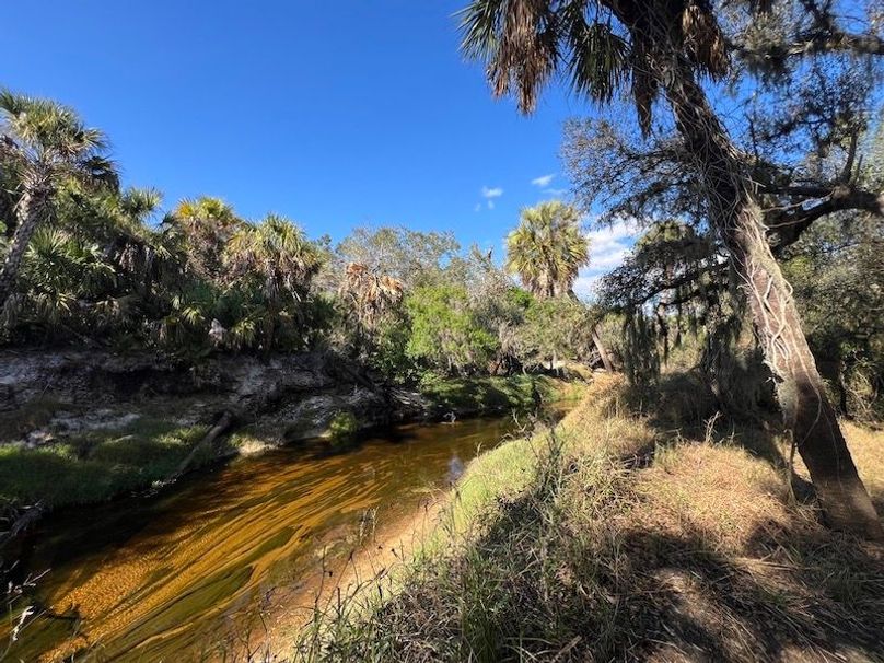 586B187D-590D-45E7-85C6-F36ECDF5F1D2_1_105_c