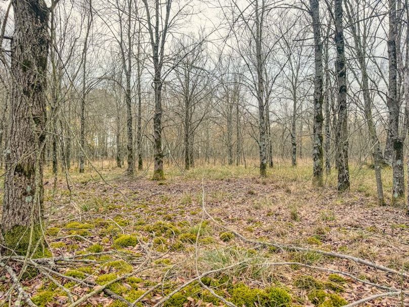 Monroe 80 Driver Dixon (Final Frontier) -21