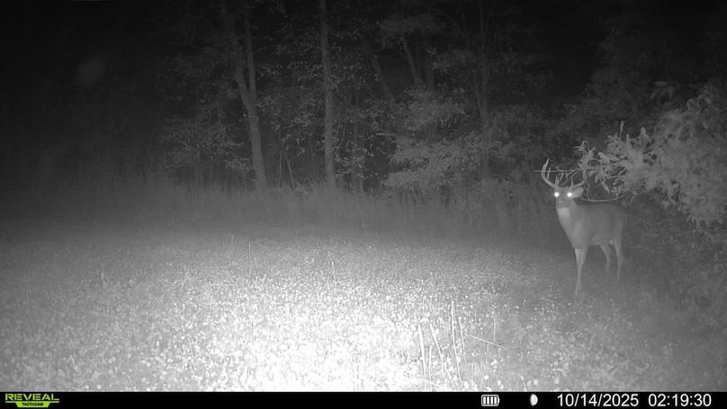 016579007489151-100-4-10142025021930-SYFW01544