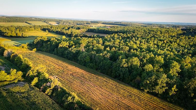 Copy of Wood Tract 1 Photo 7