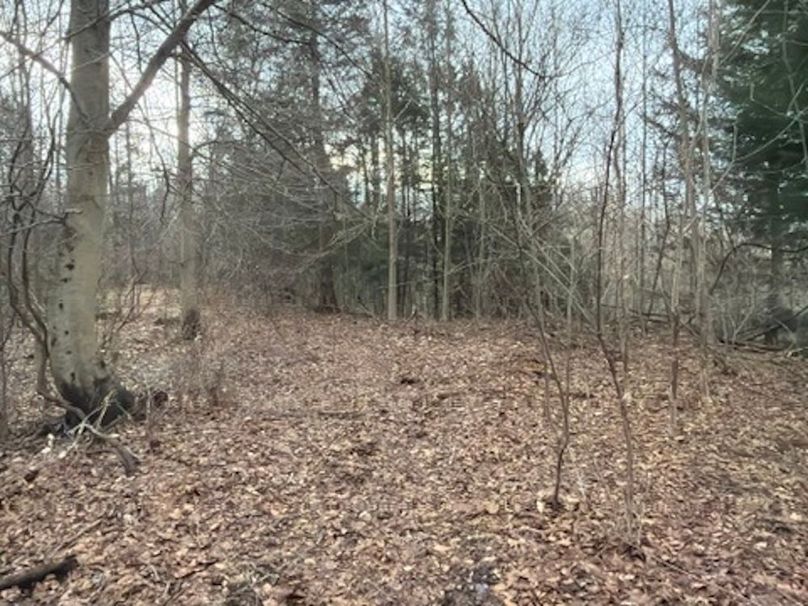 69B94345-997B-440B-9734-EE48DFA3911D_4_5005_c